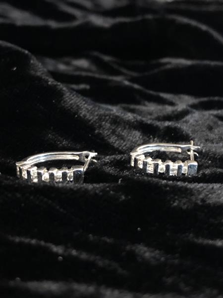 Gold-Diamond Earrings 24 Diamonds .36 Carat T.W. 10K White Gold 2.9g