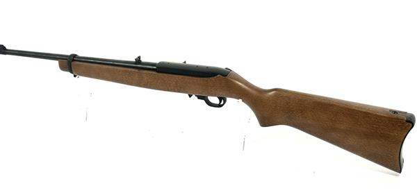 Ruger 10/22