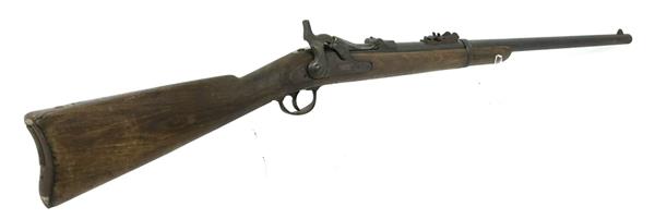 Springfield Armory US Model 1873